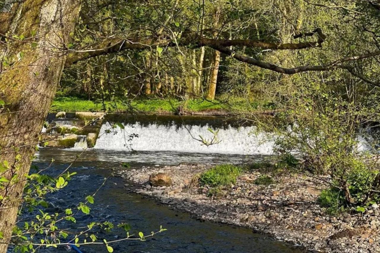 Rivers Edge Dollar Kültér fotó
